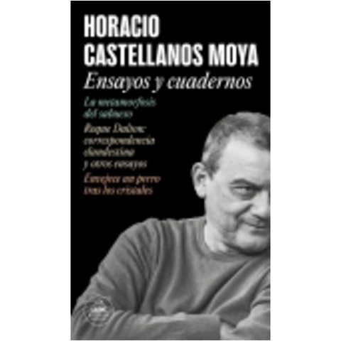 Ensayos y cuadernos