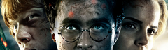 Banner da categoria Harry Potter