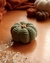 abóbora média amigurumi - comprar online