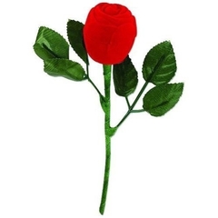 Caixinha Rosa na internet