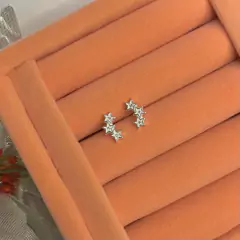 BRINCO 3 ESTRELAS PRATA925