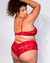 sutiã de renda alongado Cherry - uneed lingerie 