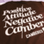 CAMISETA OVERSIZED POSITIVE ATTITUDE - Cambered