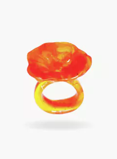 ANILLO PRIMAVERA en internet