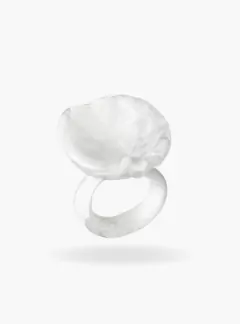 ANILLO PRIMAVERA