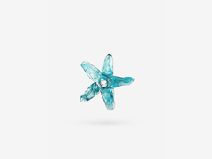 FLOR DE LIRIO en internet