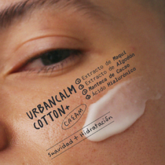 CREMA FACIAL (MILA003) - comprar online