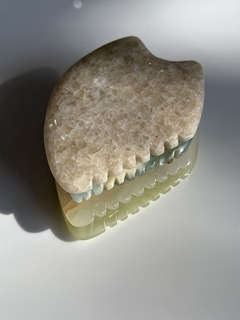 GUASHA DENTADA
