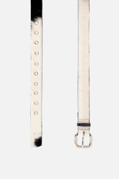 CINTO FRANCISCA en internet