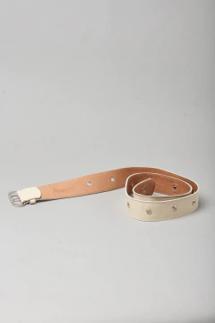 CINTURON RIO en internet