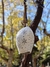 CENCERRO CAMPANA METAL 20CM (LIT502163) en internet