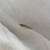 Anillo Per - comprar online