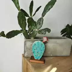 Cactus de apoyo - De Caminos y Telares