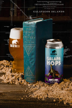 "Galapahops" APA - Lata 473ml en internet