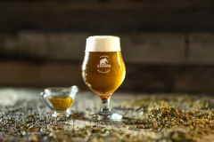 Promo - Pack Maltoso (12 latas) en internet