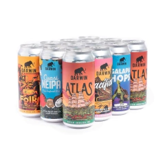 Promo - Pack Lupulado (12 latas)