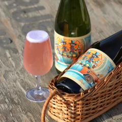 "EL Bueno, el Malo y el Feo" Gose con Uvas Merlot - Botella 750ml