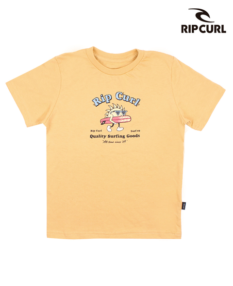 RC O TE MC PRINT (03941I3)