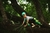 Mi disfraz de dinosaurio - ECOLECUA - comprar online