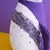 Muñeco autóctono: Pingüino patagónico en internet