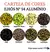Kit de Ilhós - Cores Variados