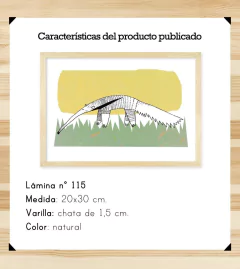 Oso Hormiguero de día - comprar online