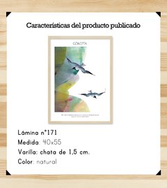 Gokotta - Paisaje tonal - tienda online