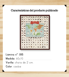 Vintage Charts - Mapa de Perros Ilustrado - comprar online