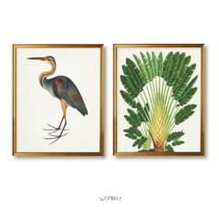 Set Francés - Garza y Palma 40x55