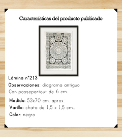 Idea dell' Universo - comprar online