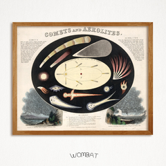 Vintage Charts - Astronomía