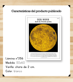 Vintage Charts - Der Mond - comprar online