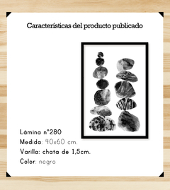 Texturas Orgánicas - Piedras del Río B&N - comprar online
