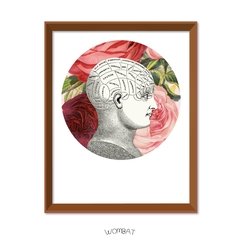 Self - comprar online