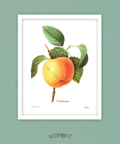 Botánicos Frutas - 40x50