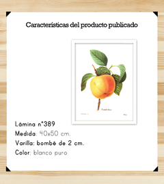 Botánicos Frutas - 40x50 - comprar online