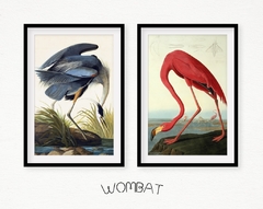 Aves Majestuosas - Flamenco - tienda online