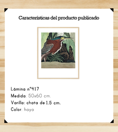 Aves Majestuosas - Tropical - comprar online