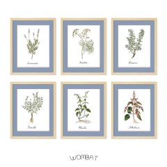 Botánicos - Set 24x28 con passepartout