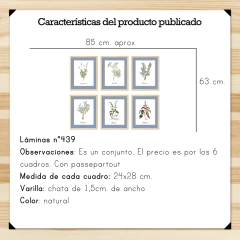 Botánicos - Set 24x28 con passepartout - comprar online