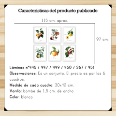 Botánicos Frutas Set 30x42 - comprar online