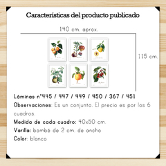 Botánicos Frutas Set Grande 40x50 - comprar online