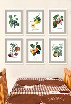 Botánicos Frutas - 30x40 con passepartout en internet