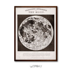 Vintage Charts - Moon