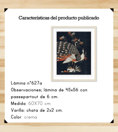 Pavo Real - comprar online