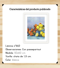Cítricos - Still Life - comprar online