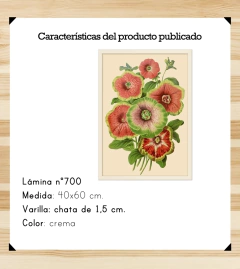 Flores de Terciopelo 40x60 en internet