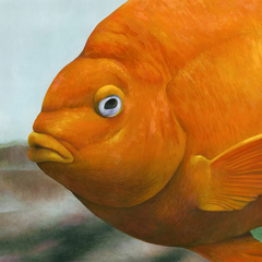 El Pez de latex 70x100 - comprar online