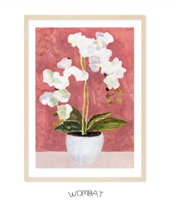 Orquídeas 40x55 - Wombat