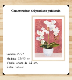 Orquídeas 32x45 - comprar online
